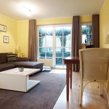 Apartment Hair Friesian *