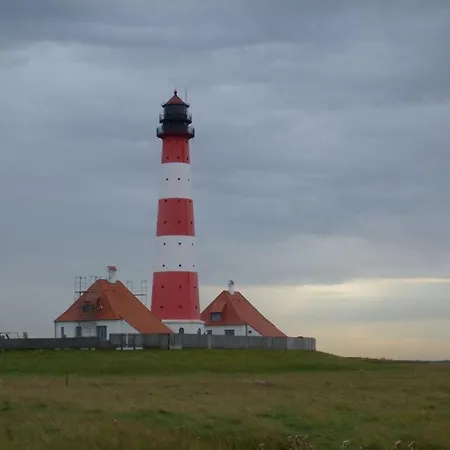 Hair Friesian Apartment