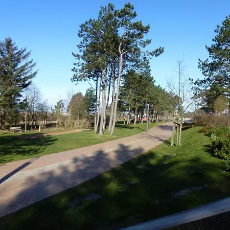Hair Friesian * Sankt Peter-Ording