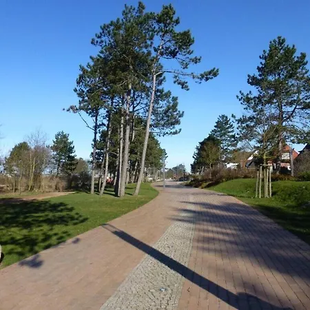 Apartment Hair Friesian *